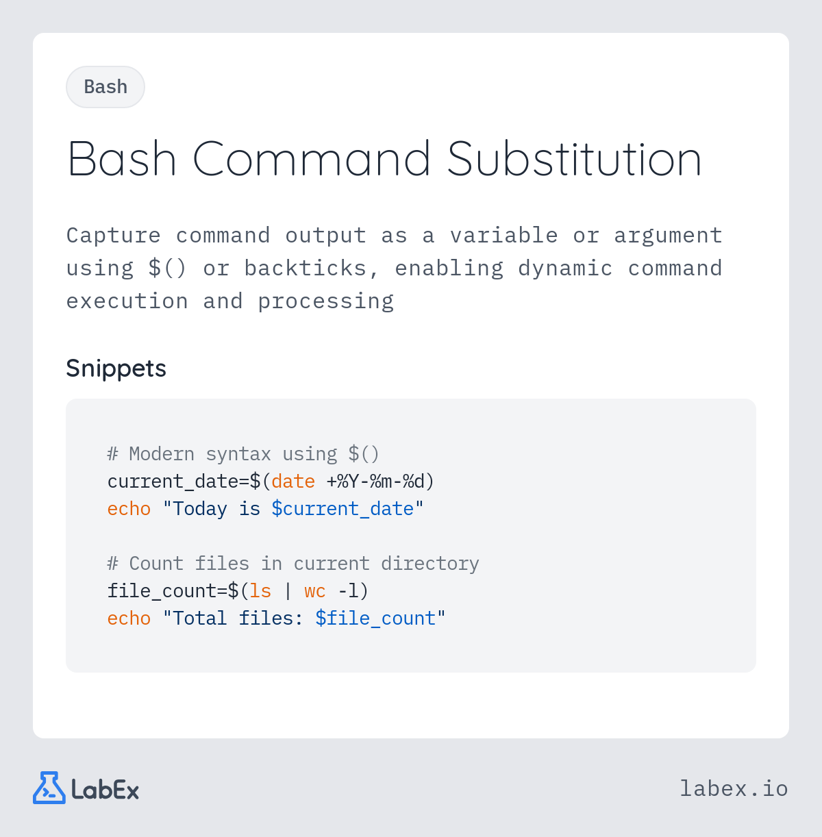 Bash Command Substitution programming concept visualization