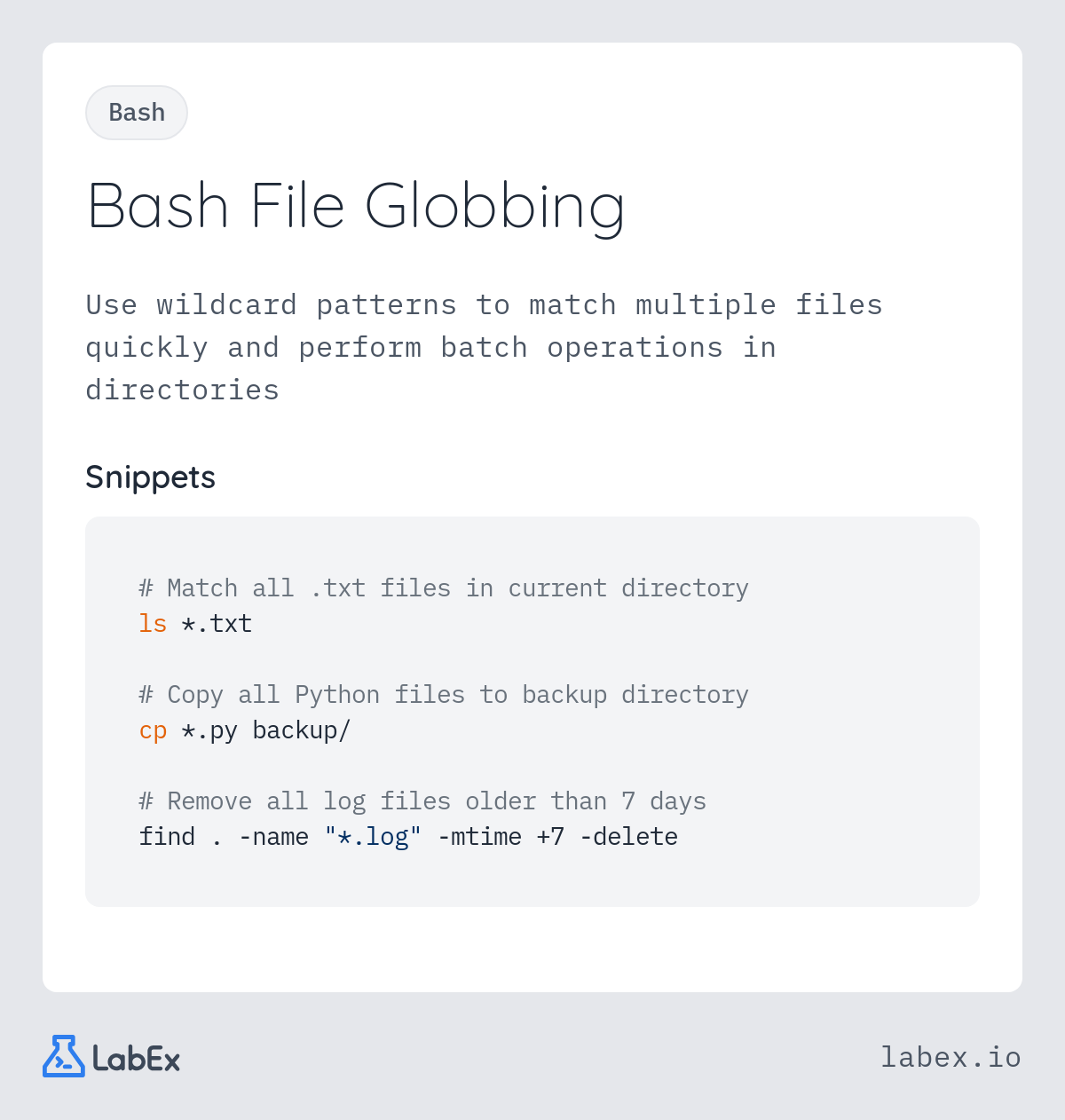 Bash File Globbing programming concept visualization