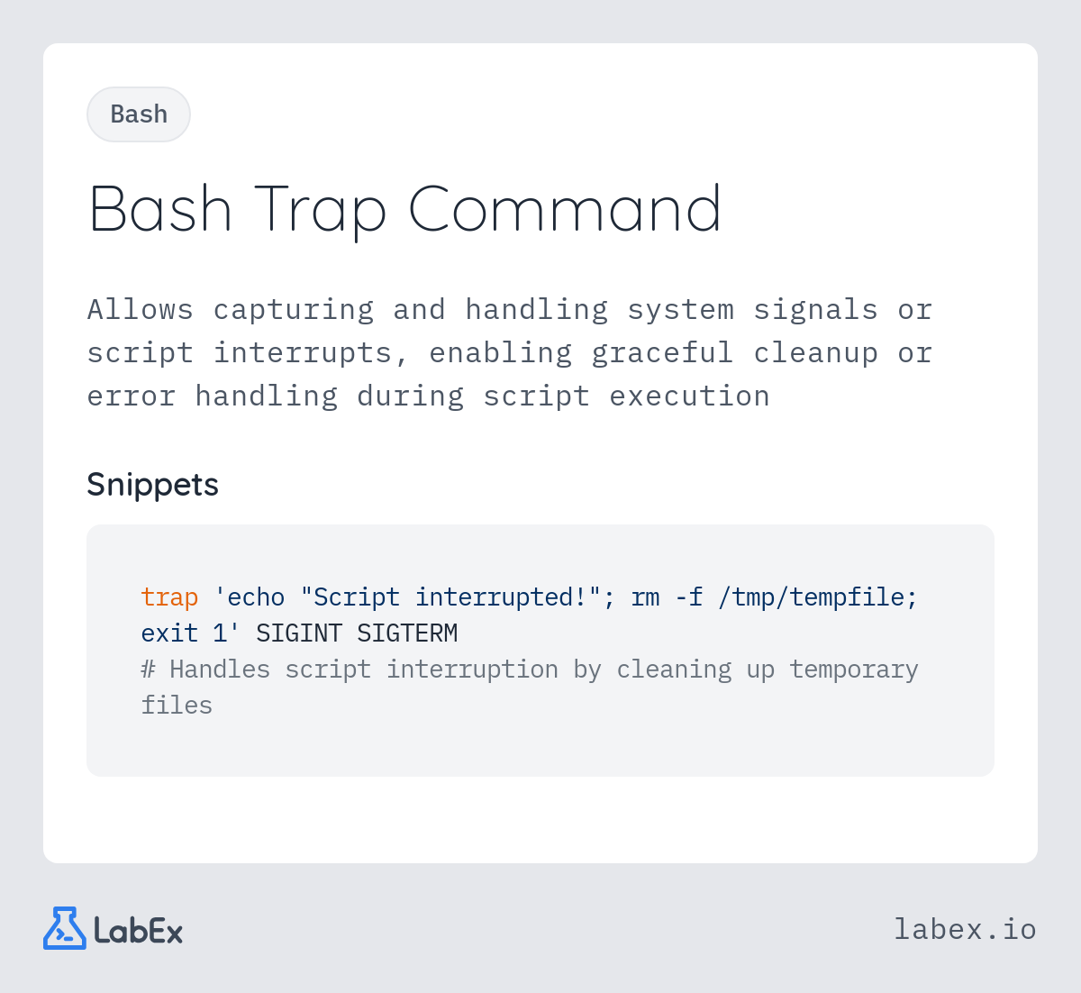 Bash Trap Command programming concept visualization