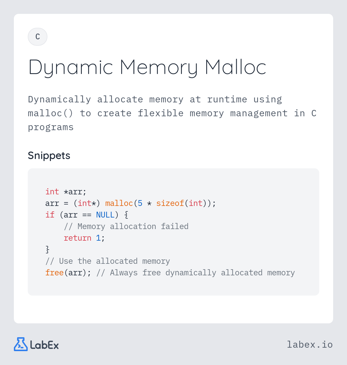 Dynamic Memory Malloc programming concept visualization