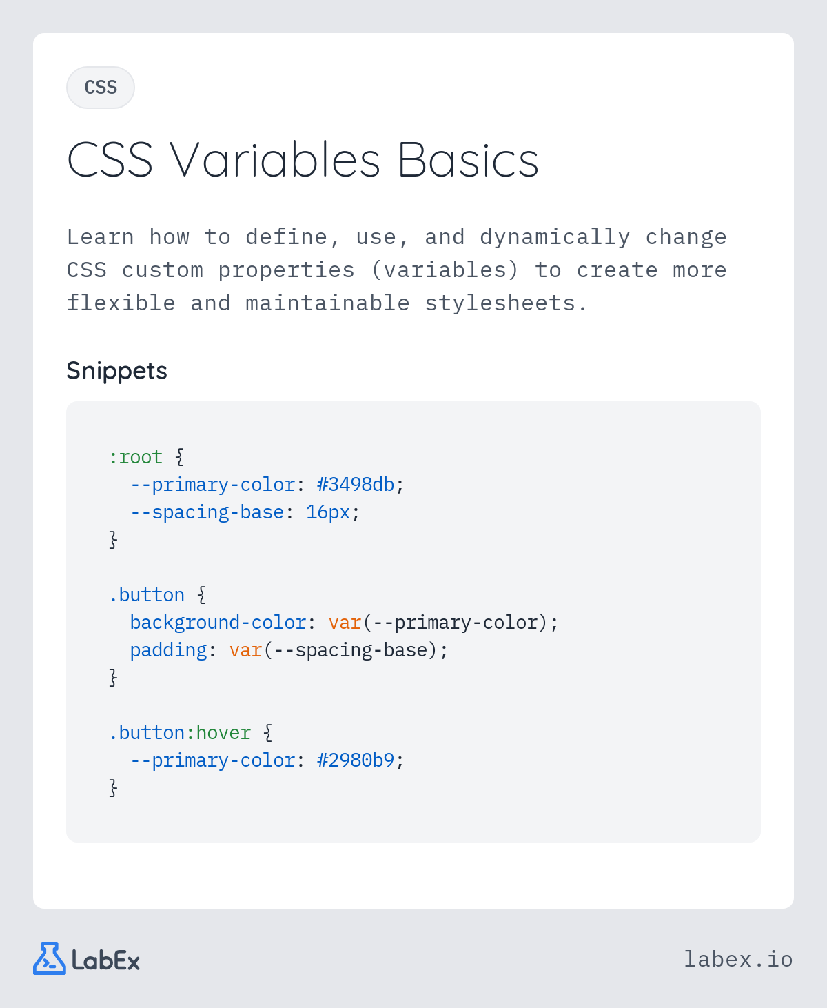 CSS Variables Basics programming concept visualization