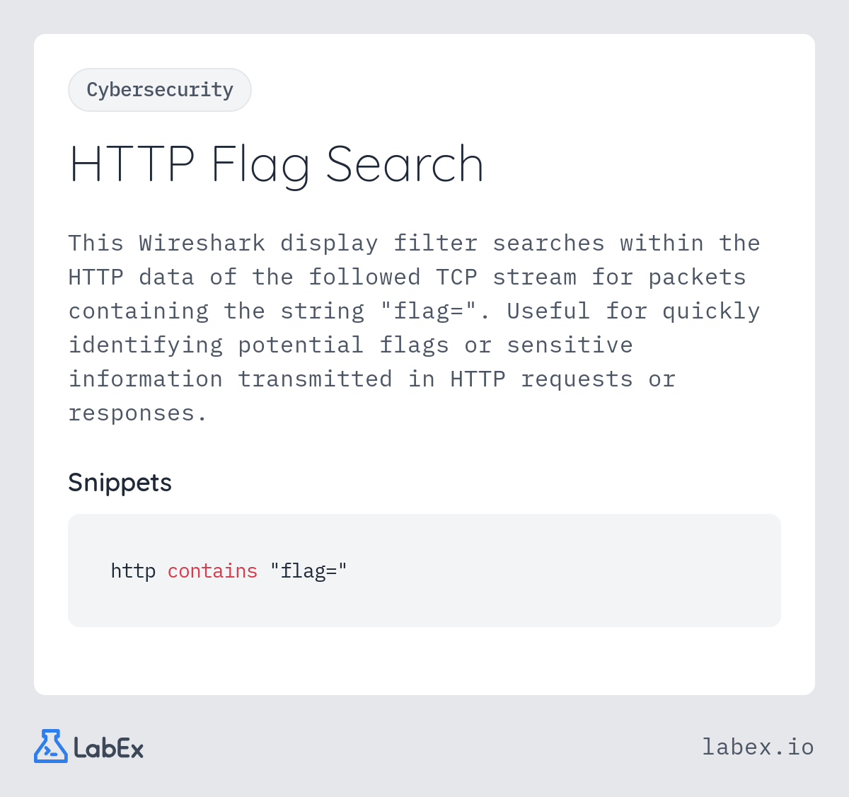 HTTP Flag Search programming concept visualization