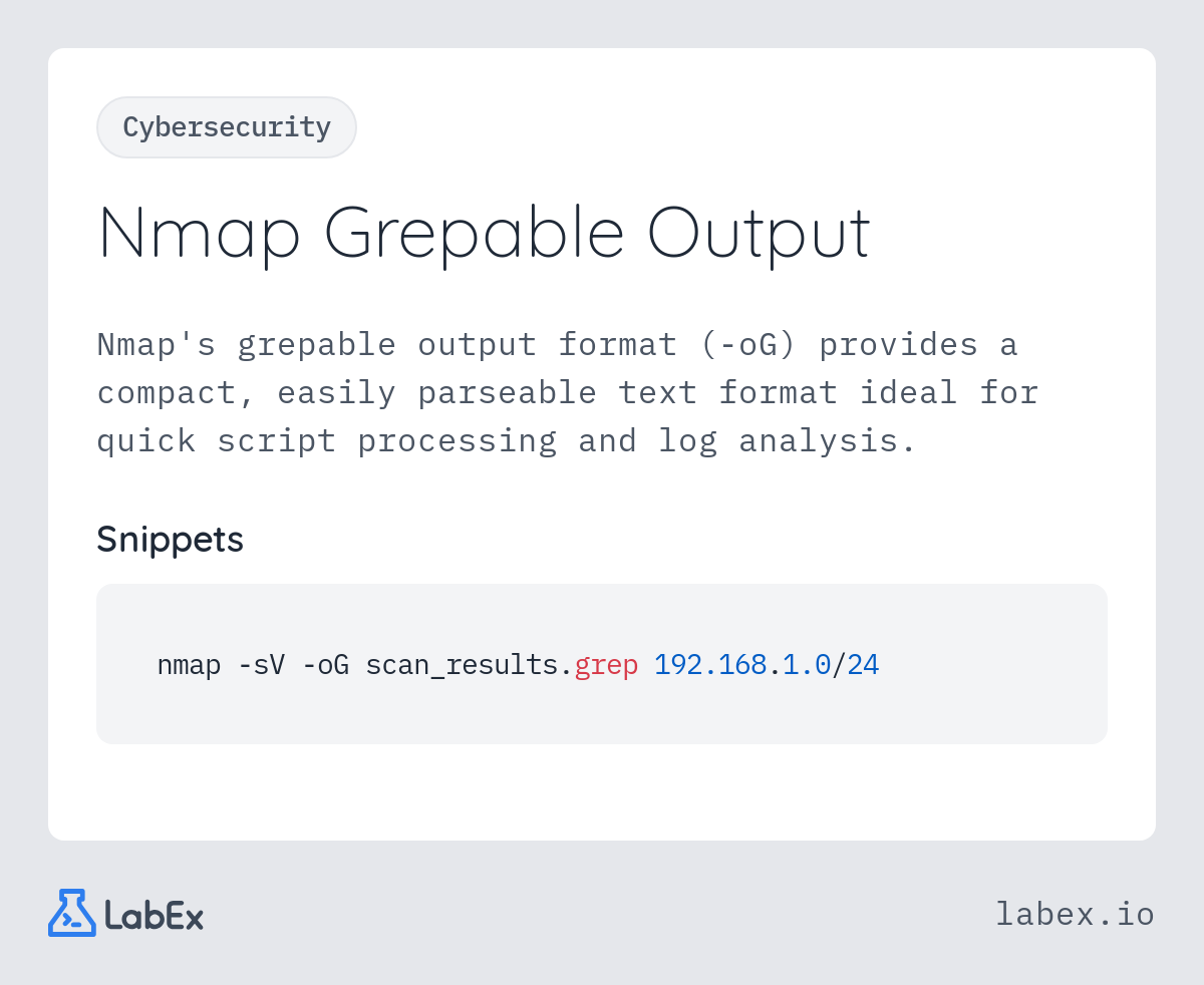 Nmap Grepable Output programming concept visualization