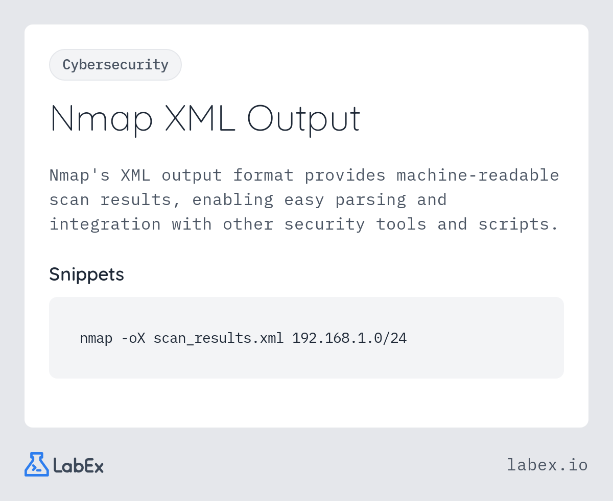 Nmap XML Output programming concept visualization