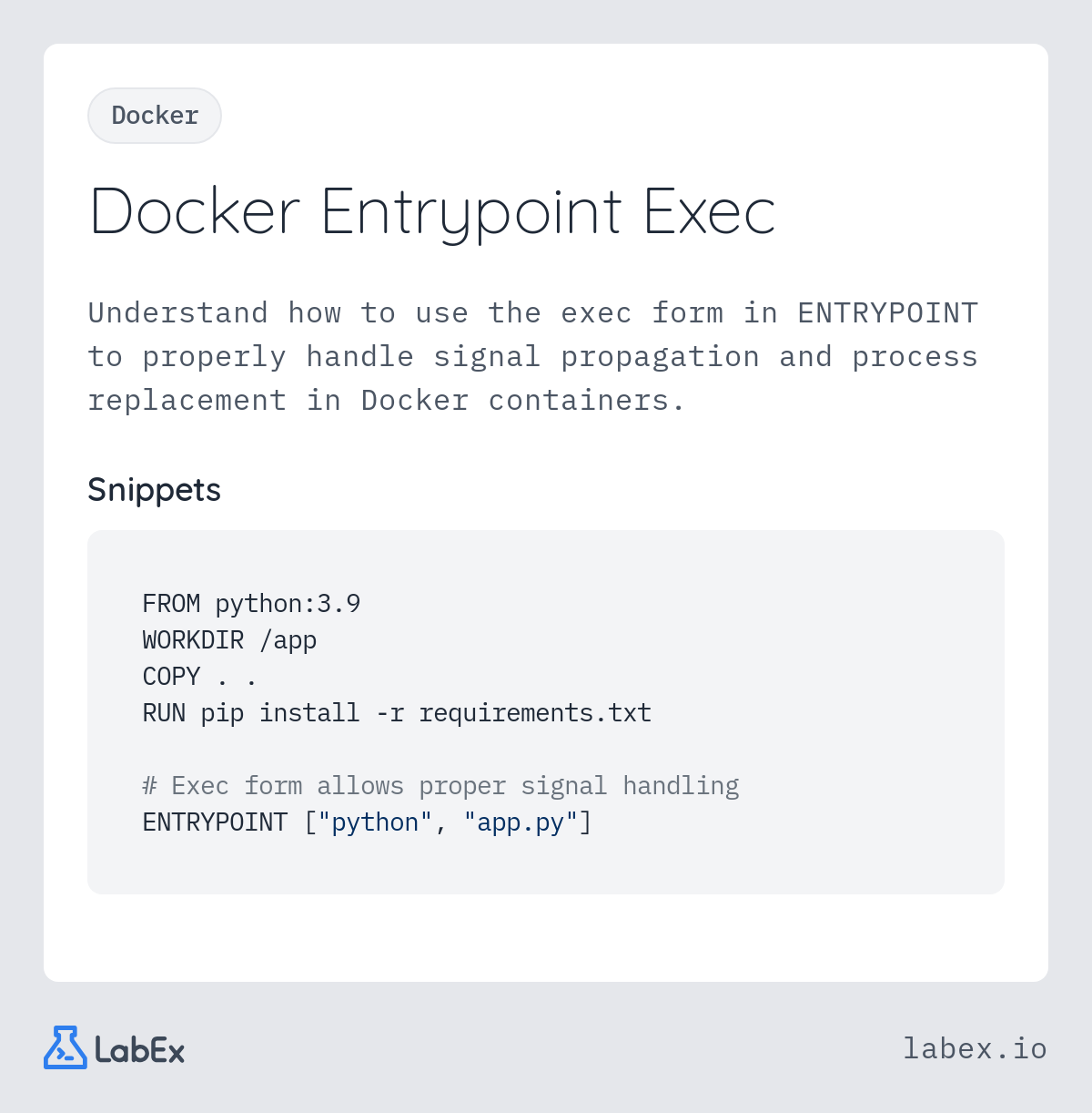 Docker Entrypoint Exec programming concept visualization