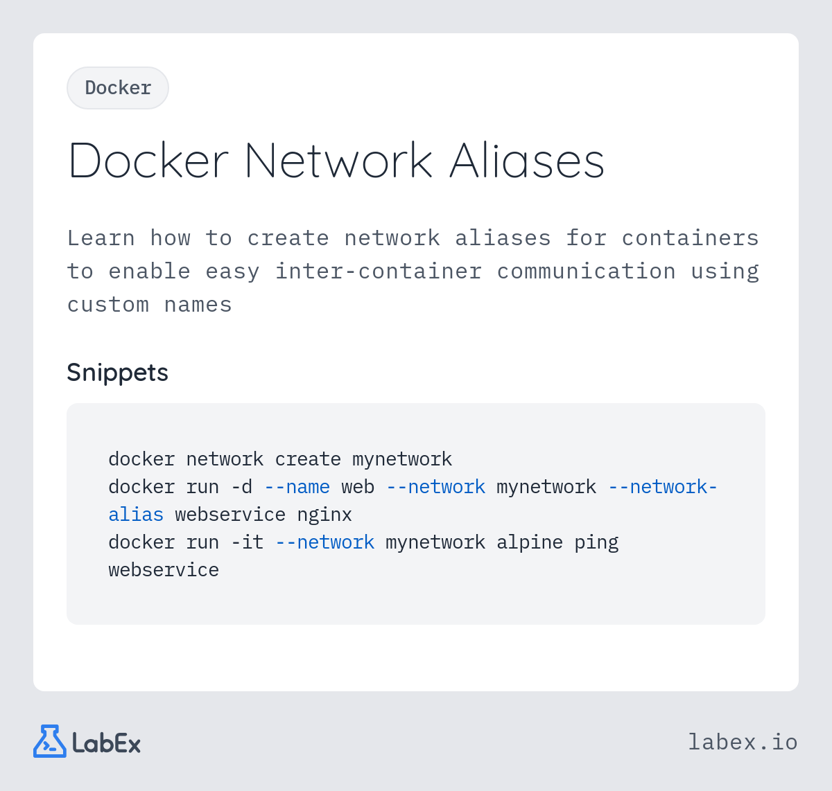 Docker Network Aliases programming concept visualization