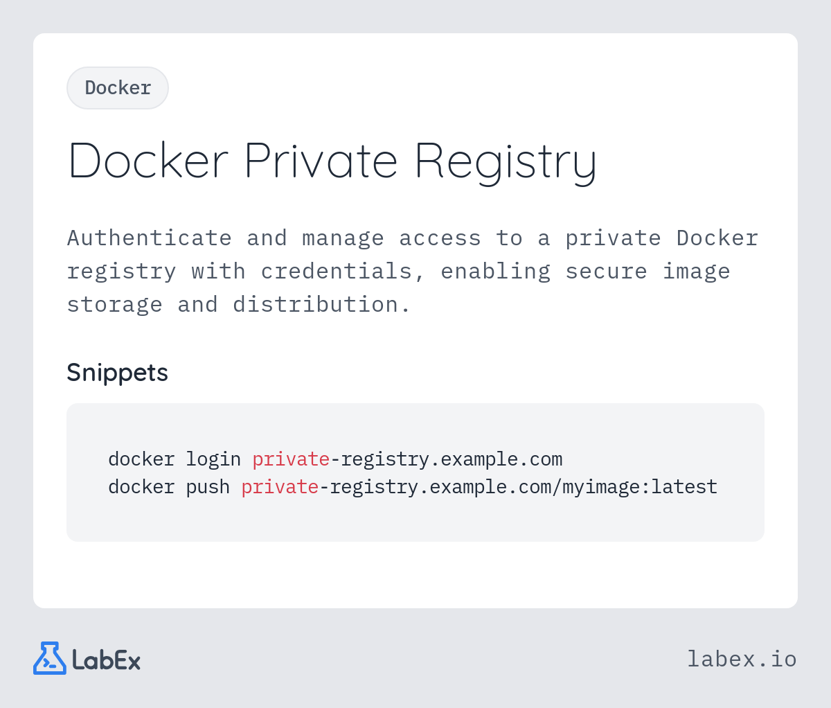 Docker Private Registry programming concept visualization