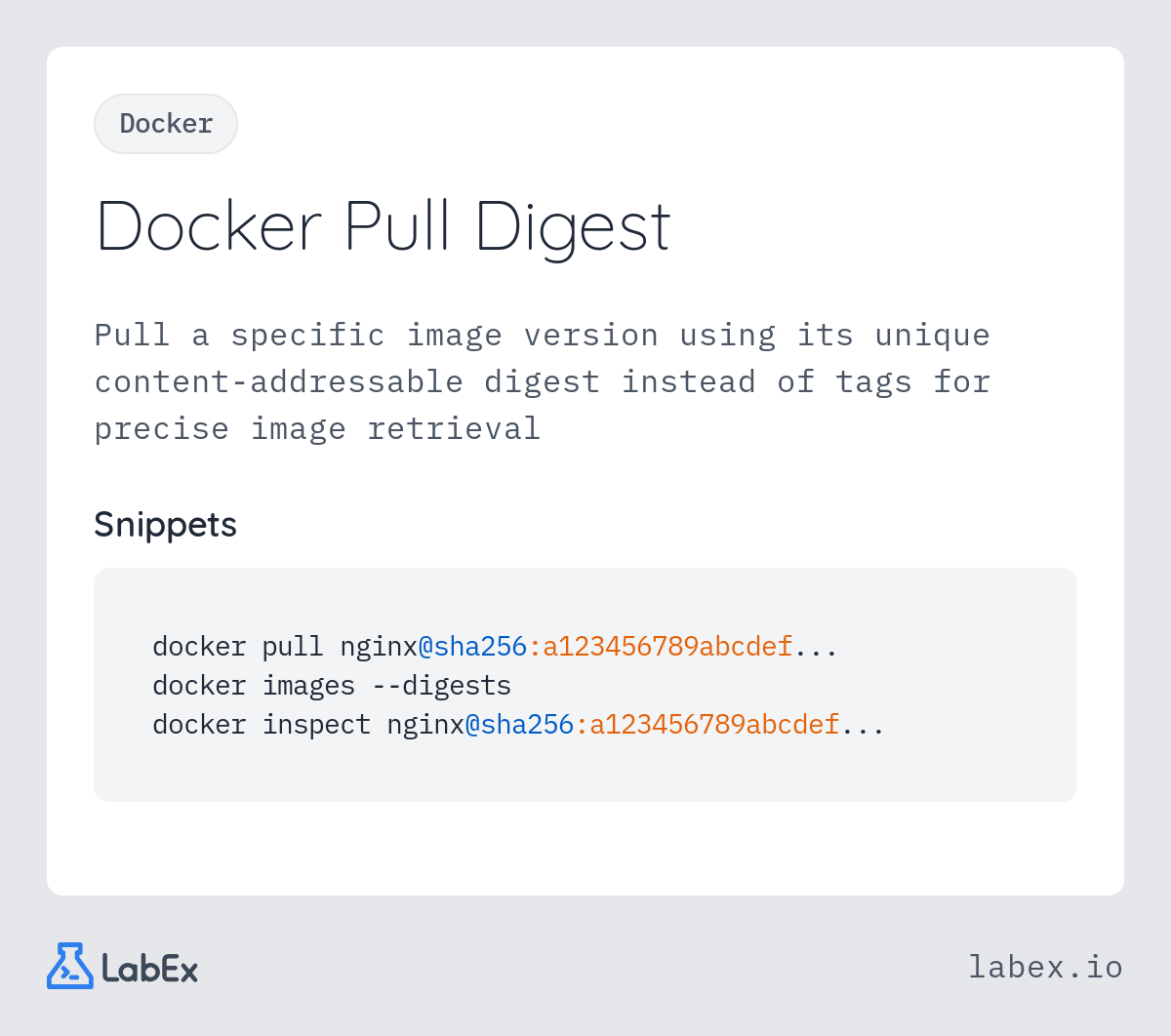 Docker Pull Digest programming concept visualization