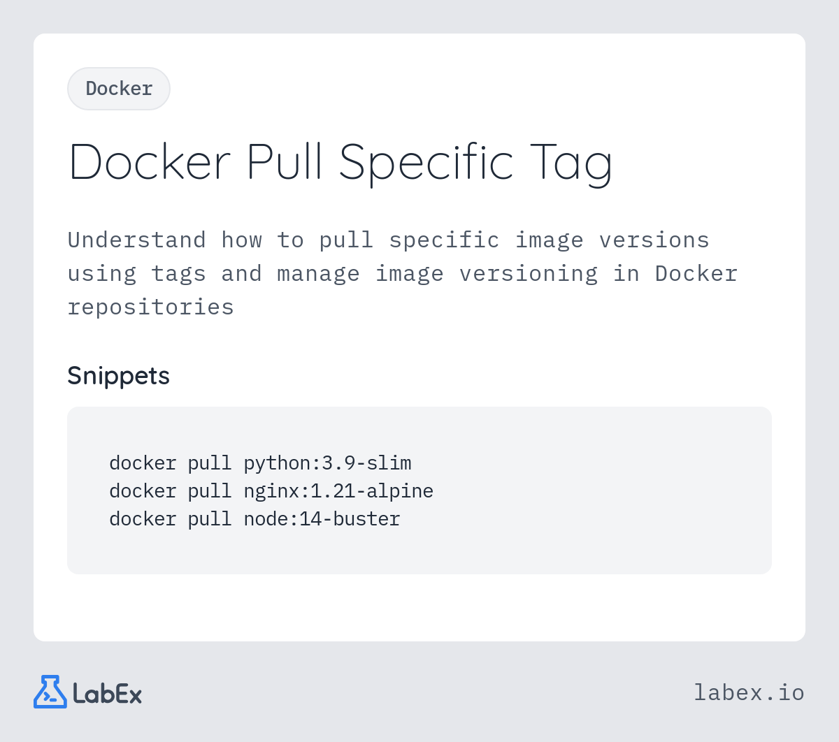 Docker Pull Specific Tag programming concept visualization