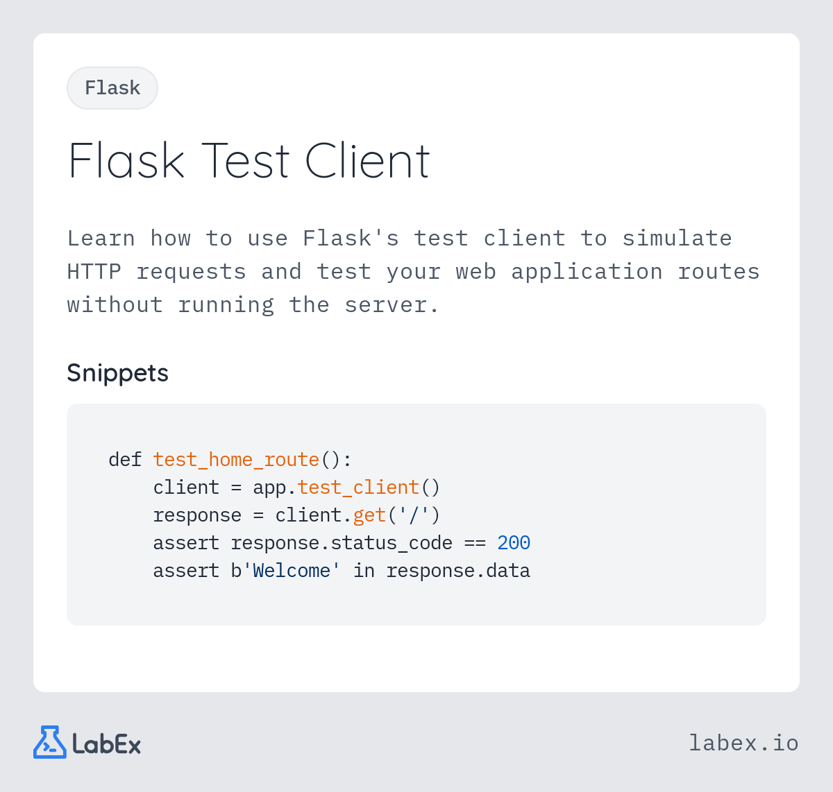 Flask Test Client programming concept visualization