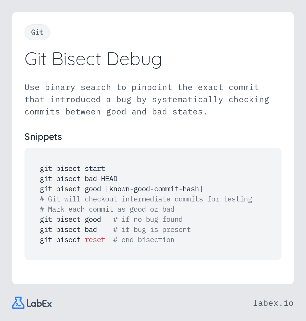 Git Bisect Debug programming concept visualization