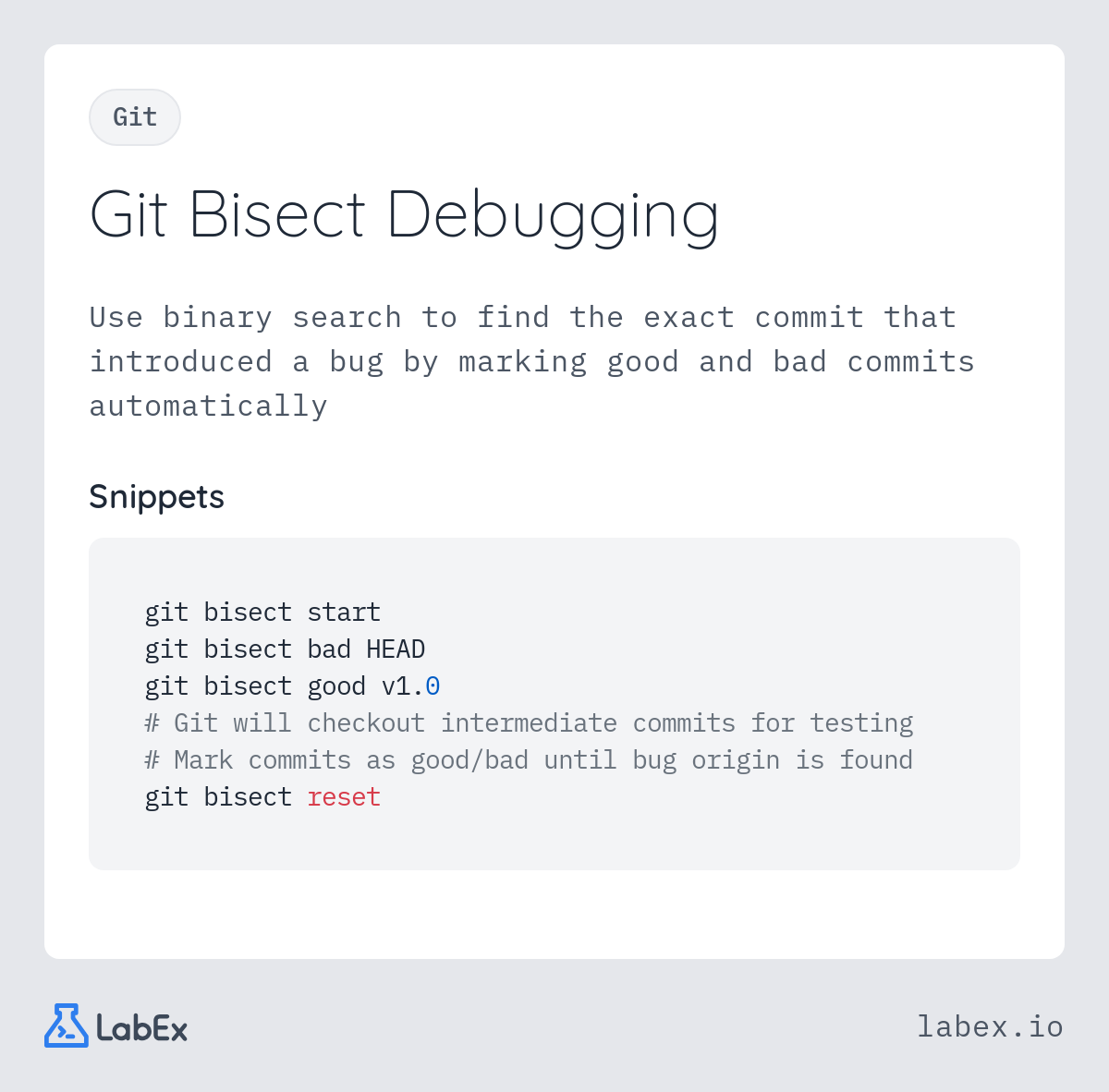 Git Bisect Debugging programming concept visualization