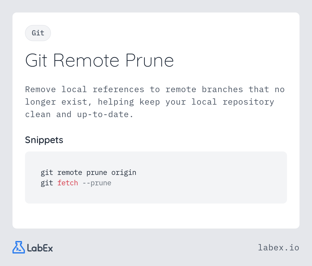 Git Remote Prune programming concept visualization