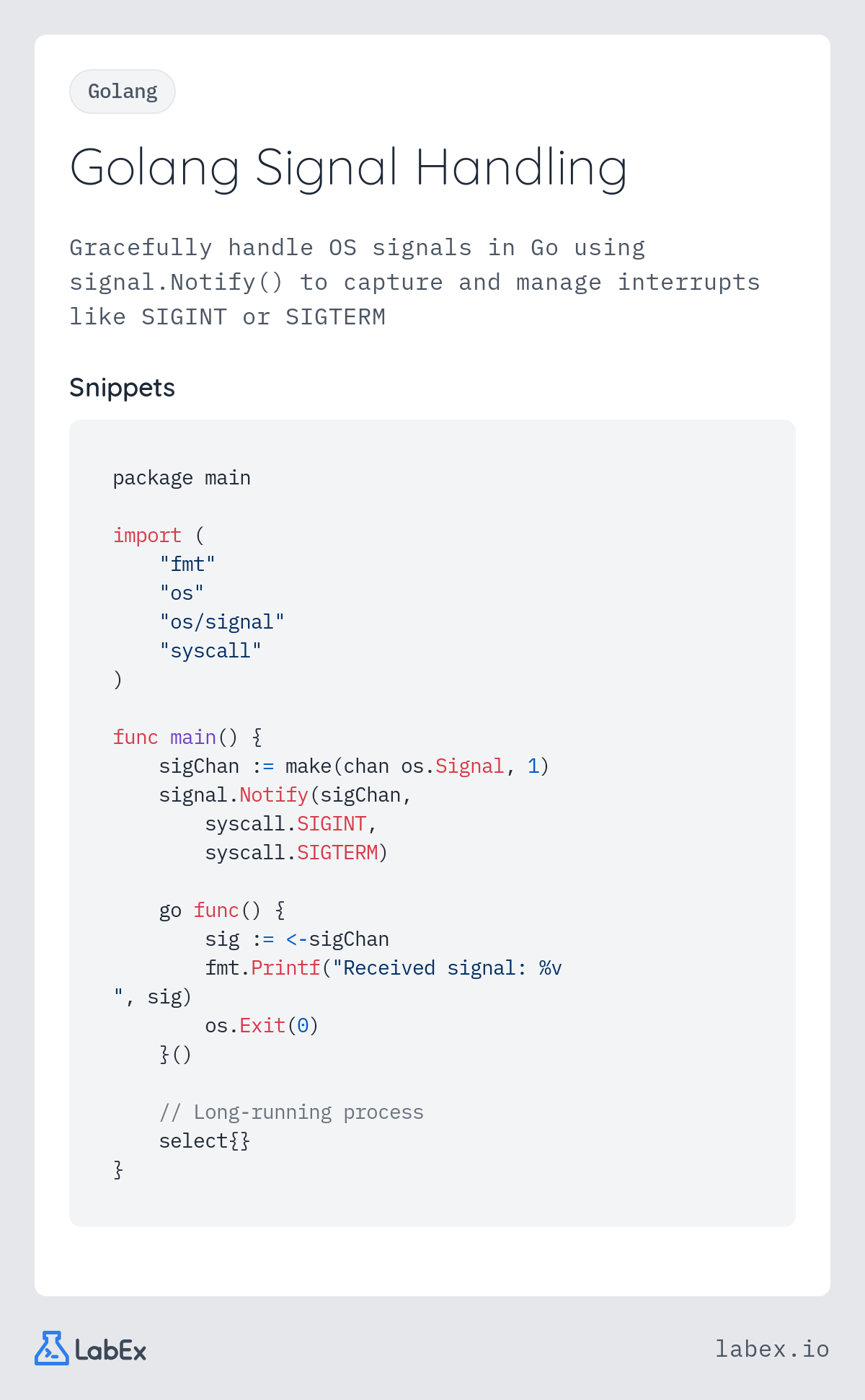 Golang Signal Handling programming concept visualization