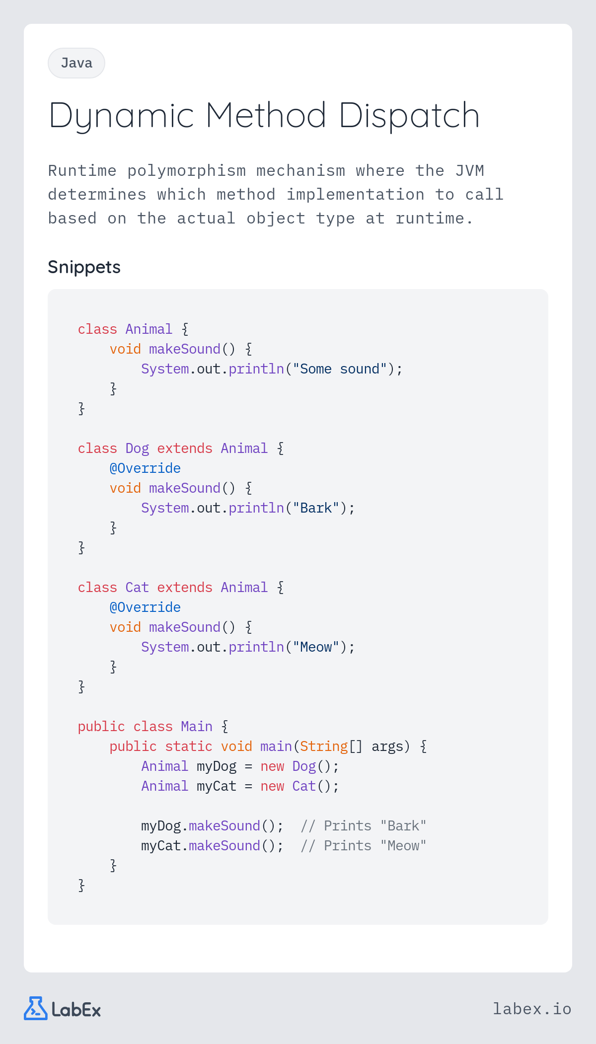 Dynamic Method Dispatch programming concept visualization