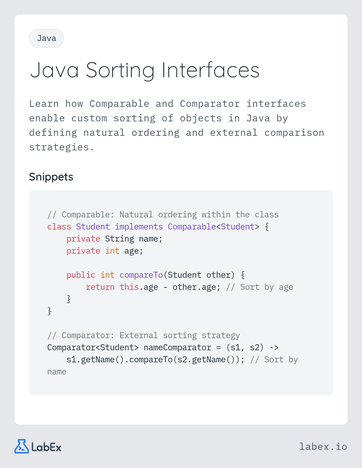 Java Sorting Interfaces programming concept visualization