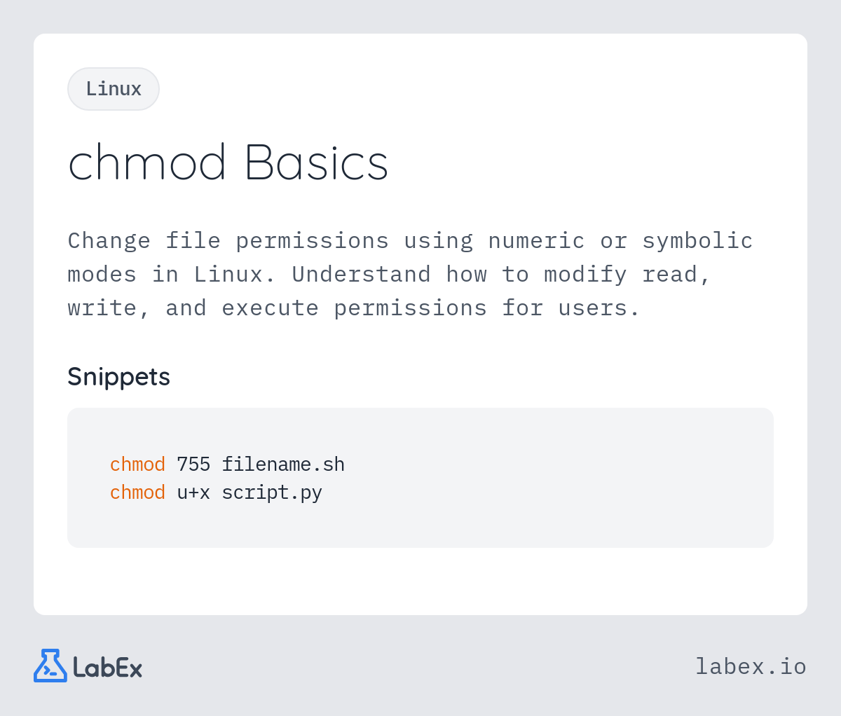 chmod Basics programming concept visualization