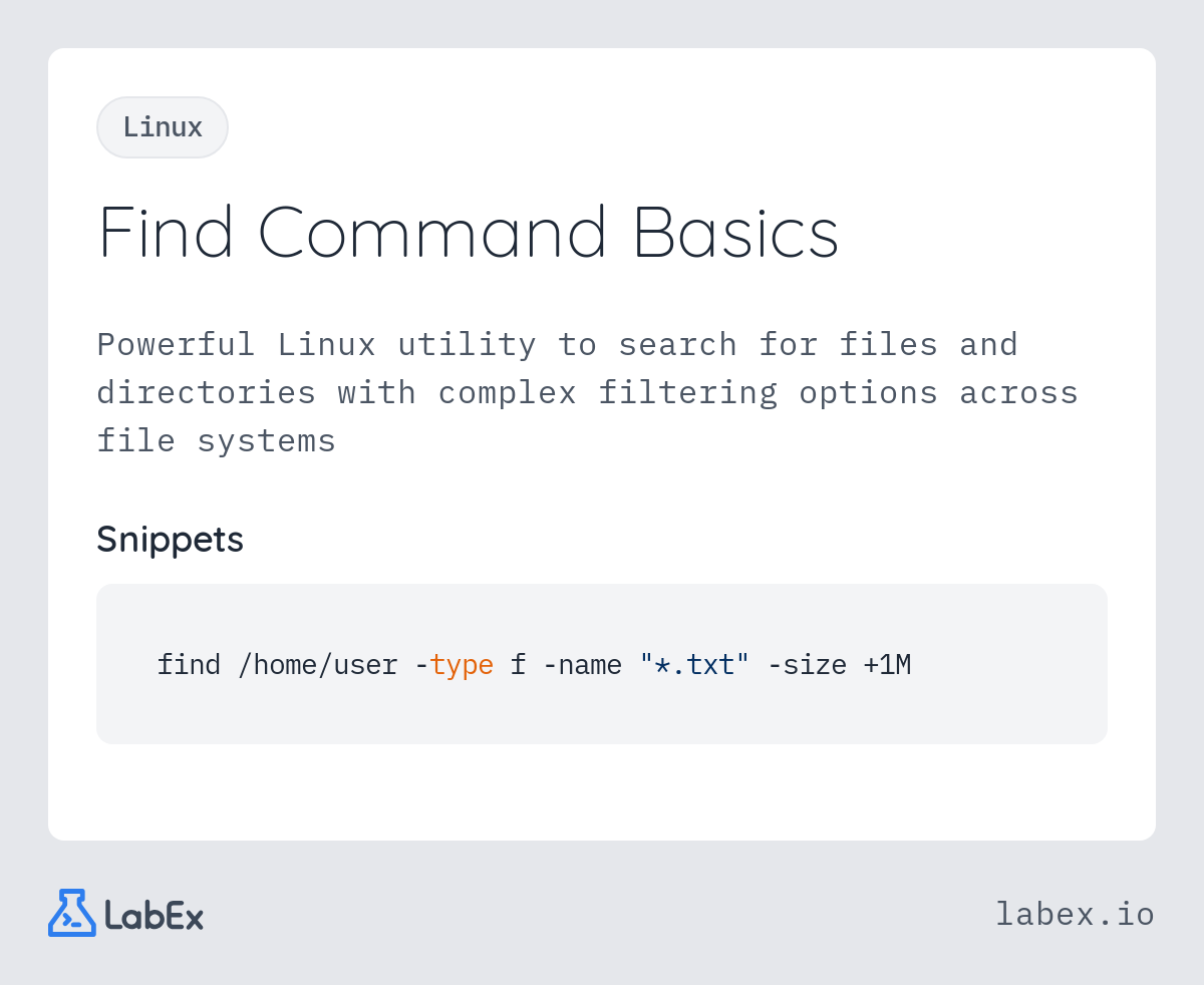 Find Command Basics programming concept visualization