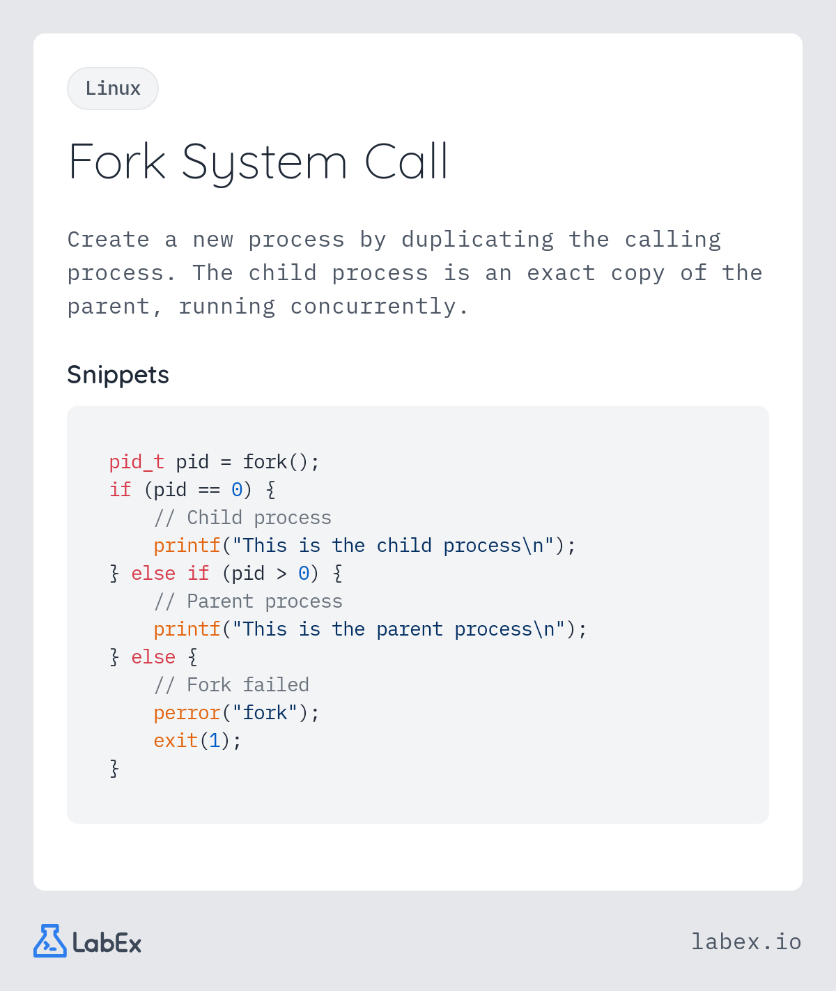 Fork System Call programming concept visualization