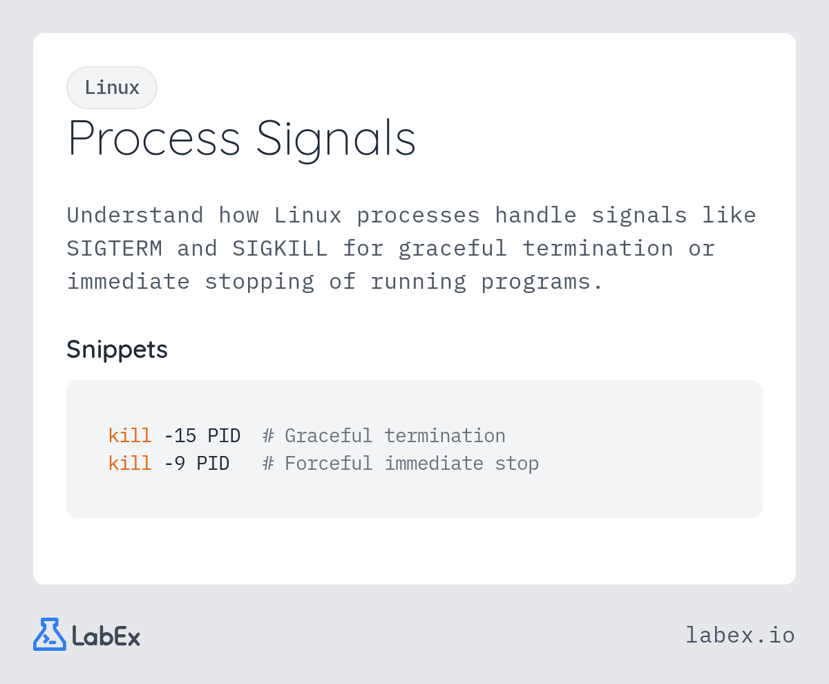 Process Signals programming concept visualization