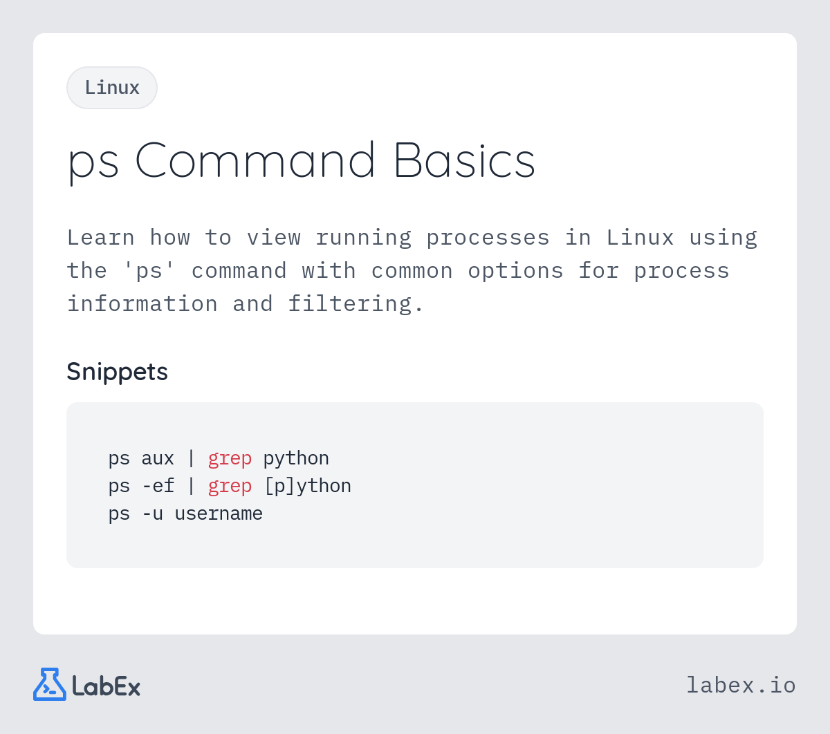 ps Command Basics programming concept visualization