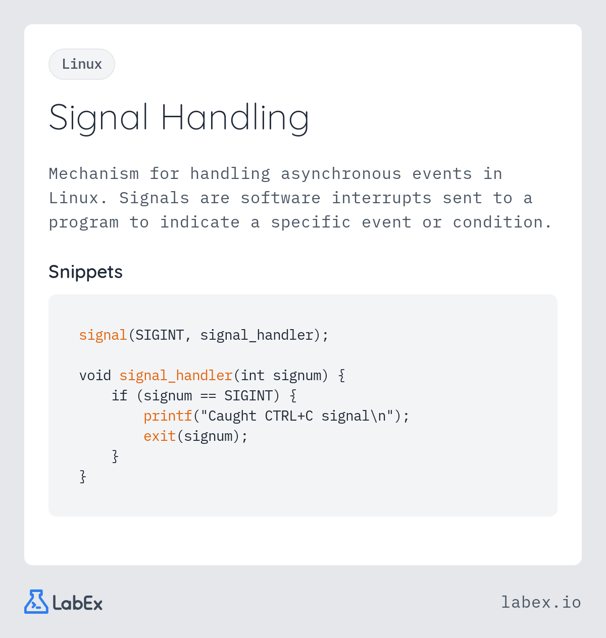 Signal Handling programming concept visualization