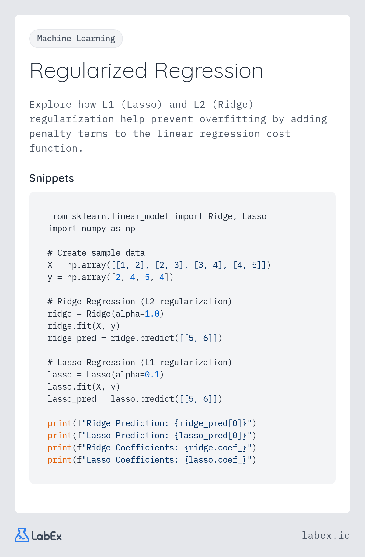 Regularized Regression programming concept visualization