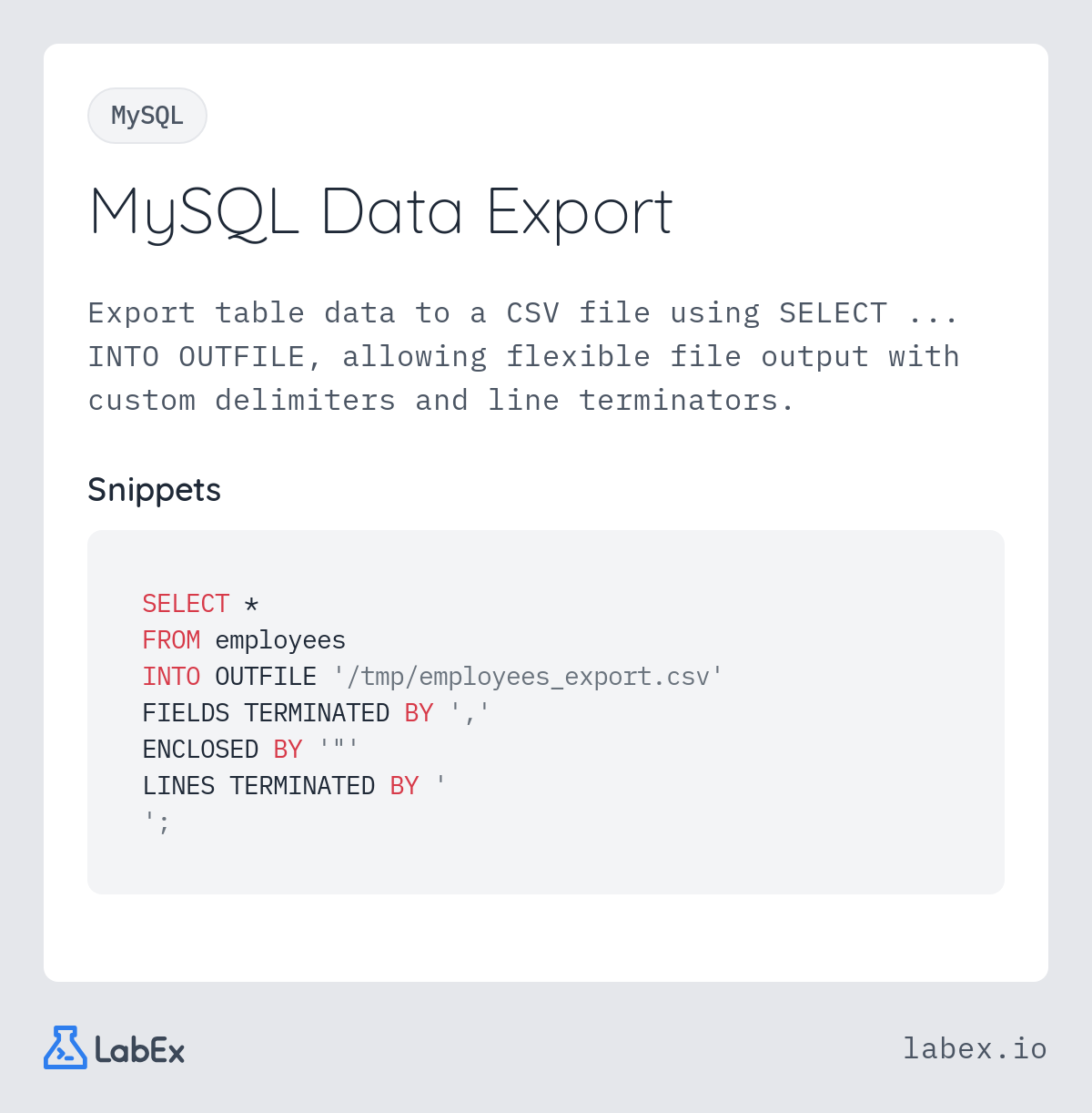 MySQL Data Export programming concept visualization