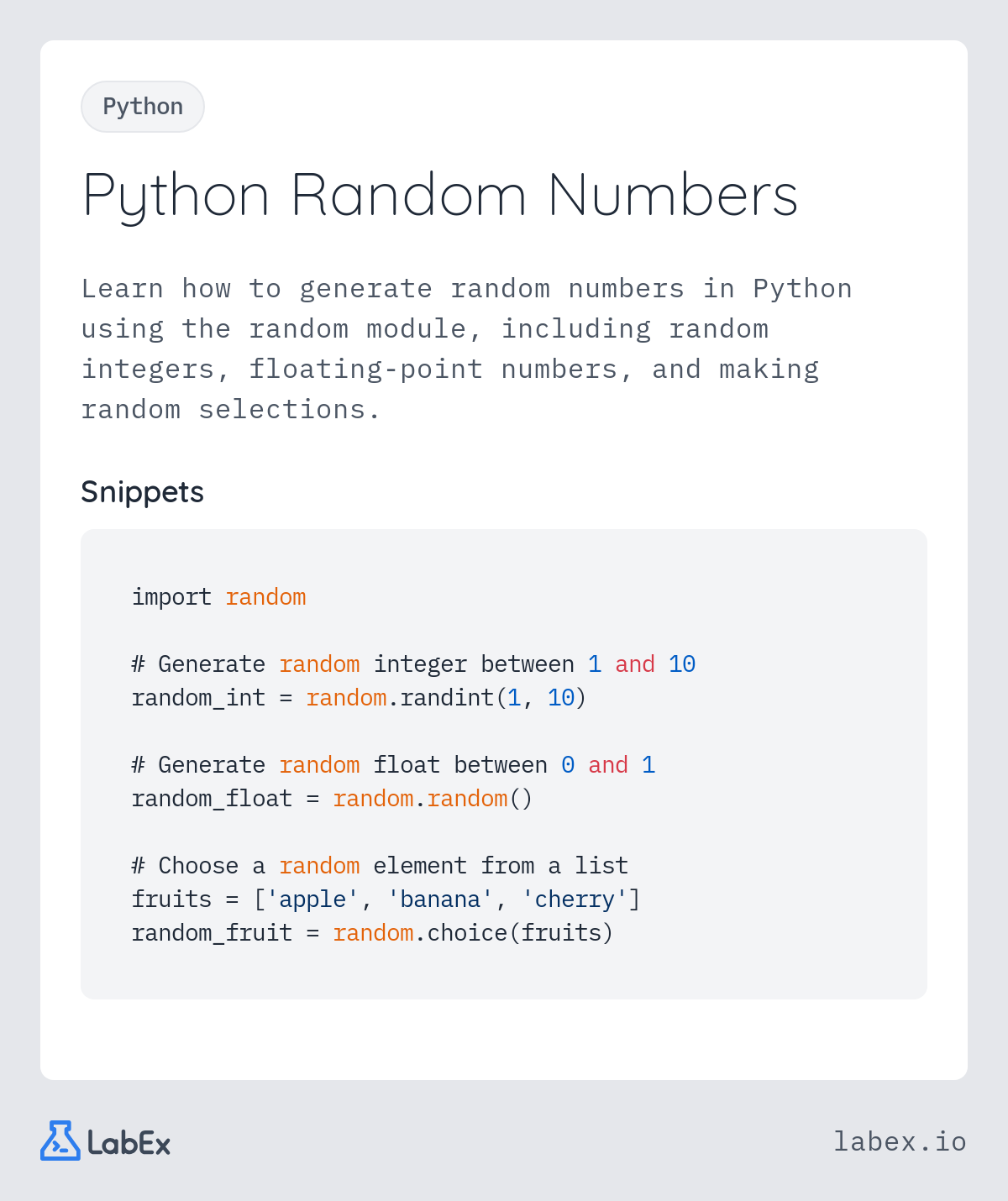 Python Random Numbers programming concept visualization