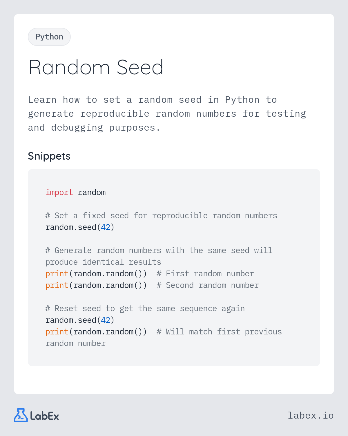 Random Seed programming concept visualization