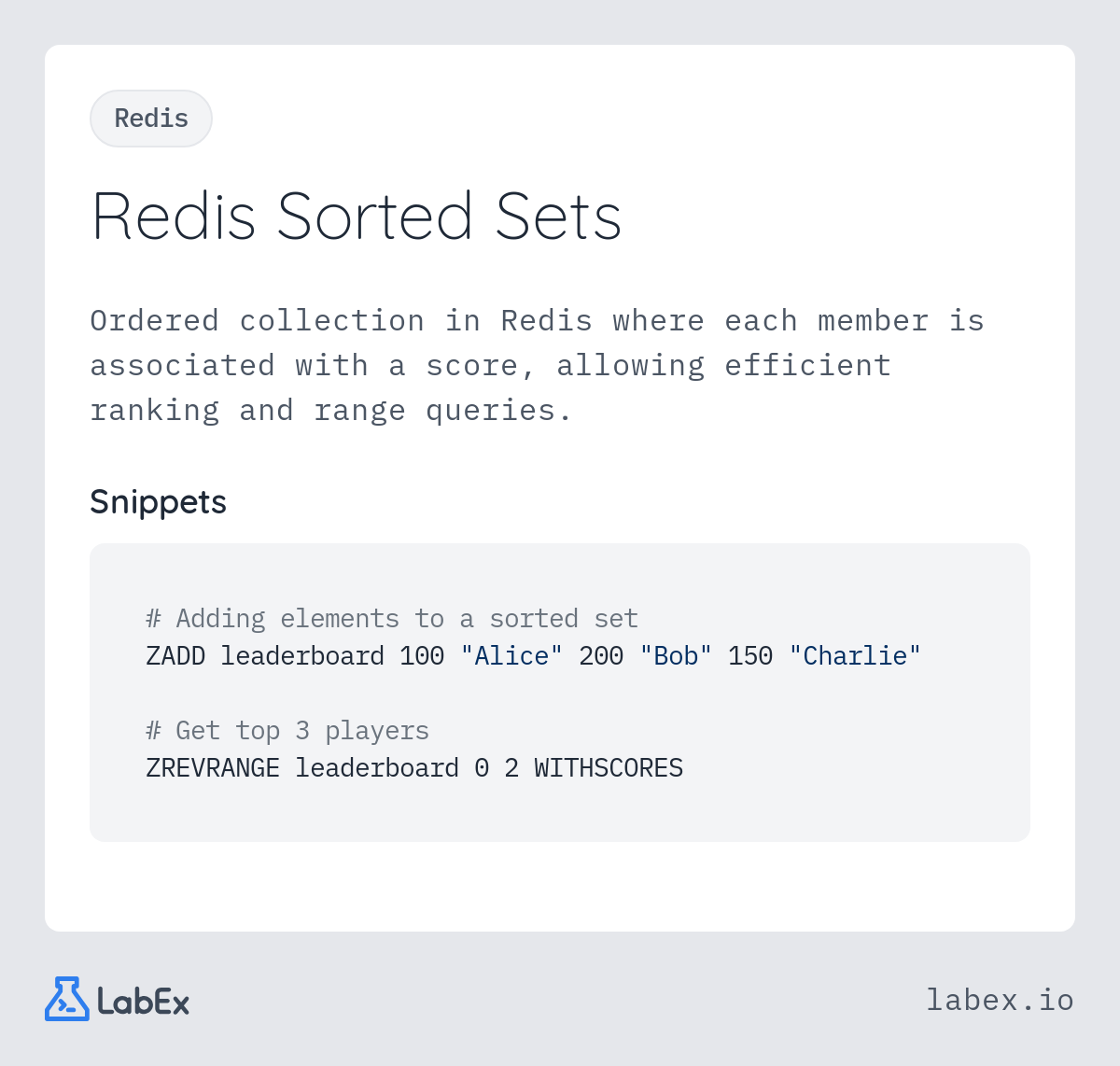 Redis Sorted Sets programming concept visualization