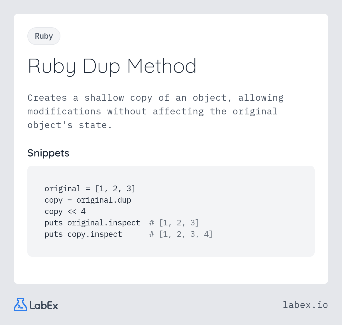 Ruby Dup Method programming concept visualization