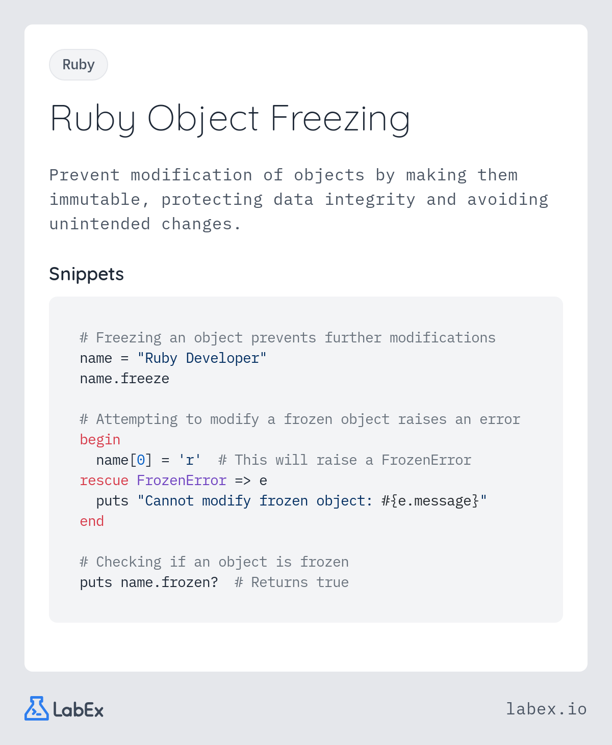 Ruby Object Freezing programming concept visualization