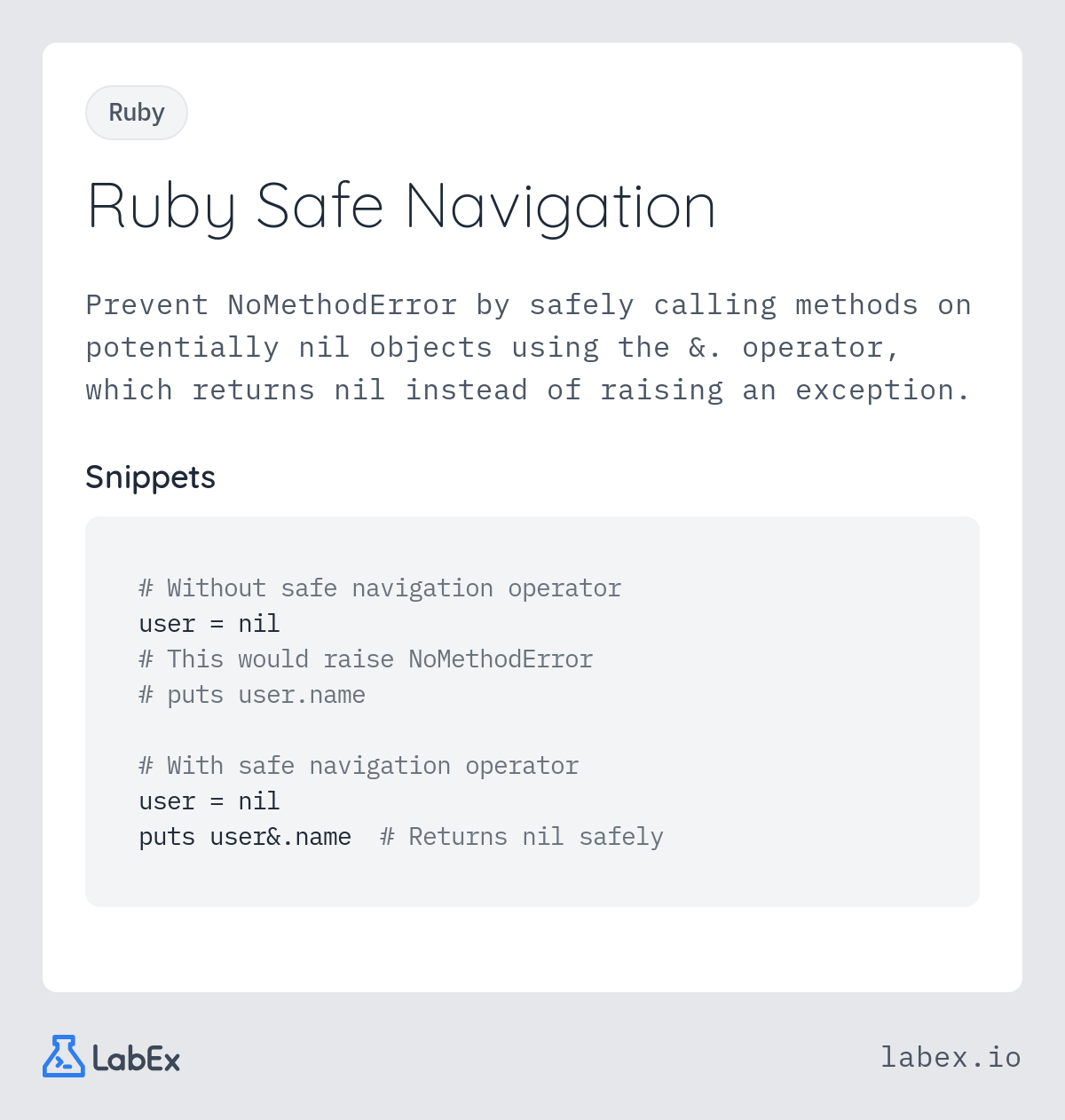 Ruby Safe Navigation programming concept visualization