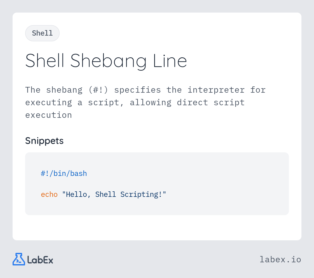 Shell Shebang Line programming concept visualization