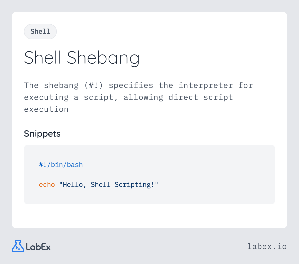 Shell Shebang programming concept visualization