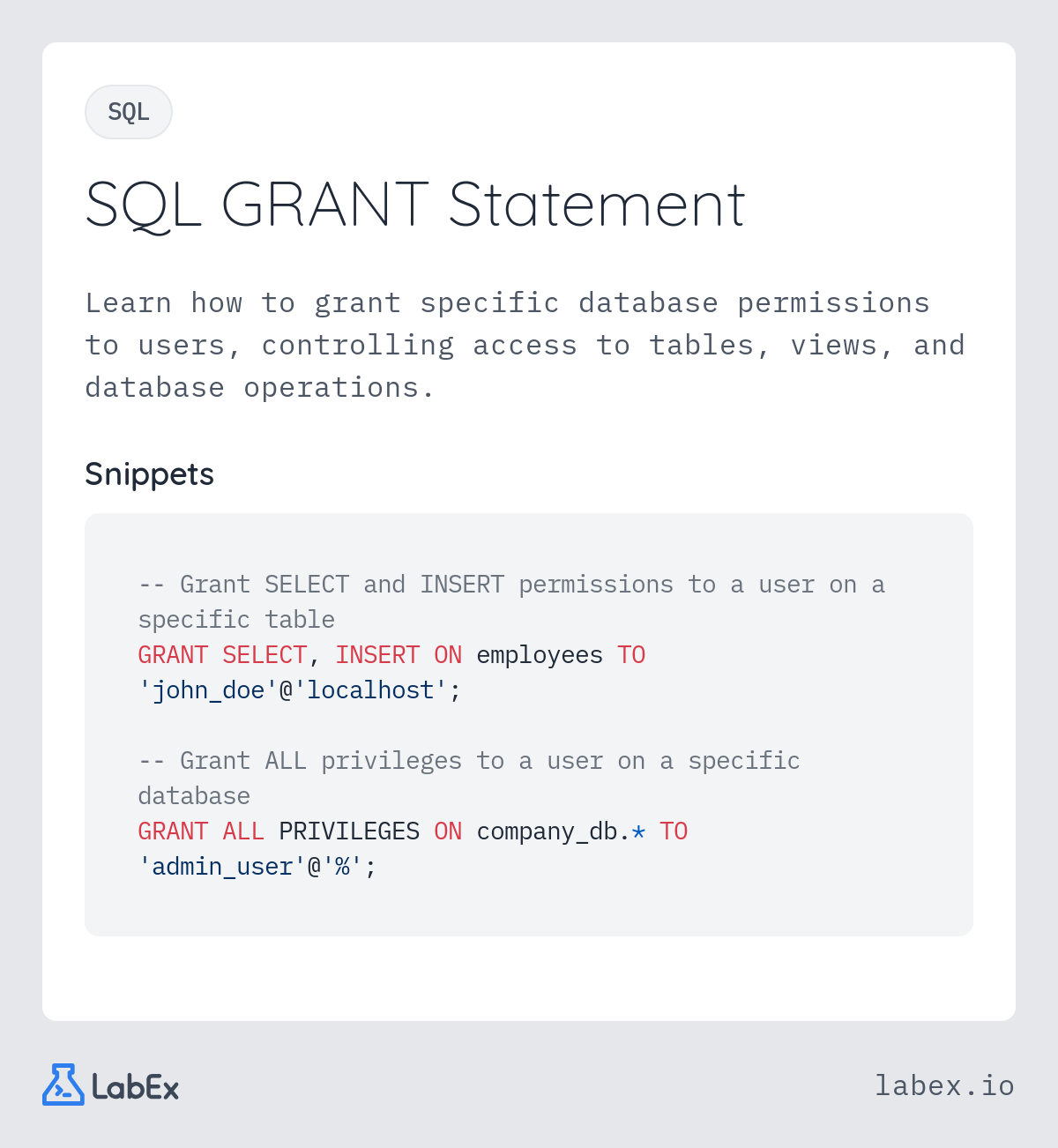 SQL GRANT Statement programming concept visualization