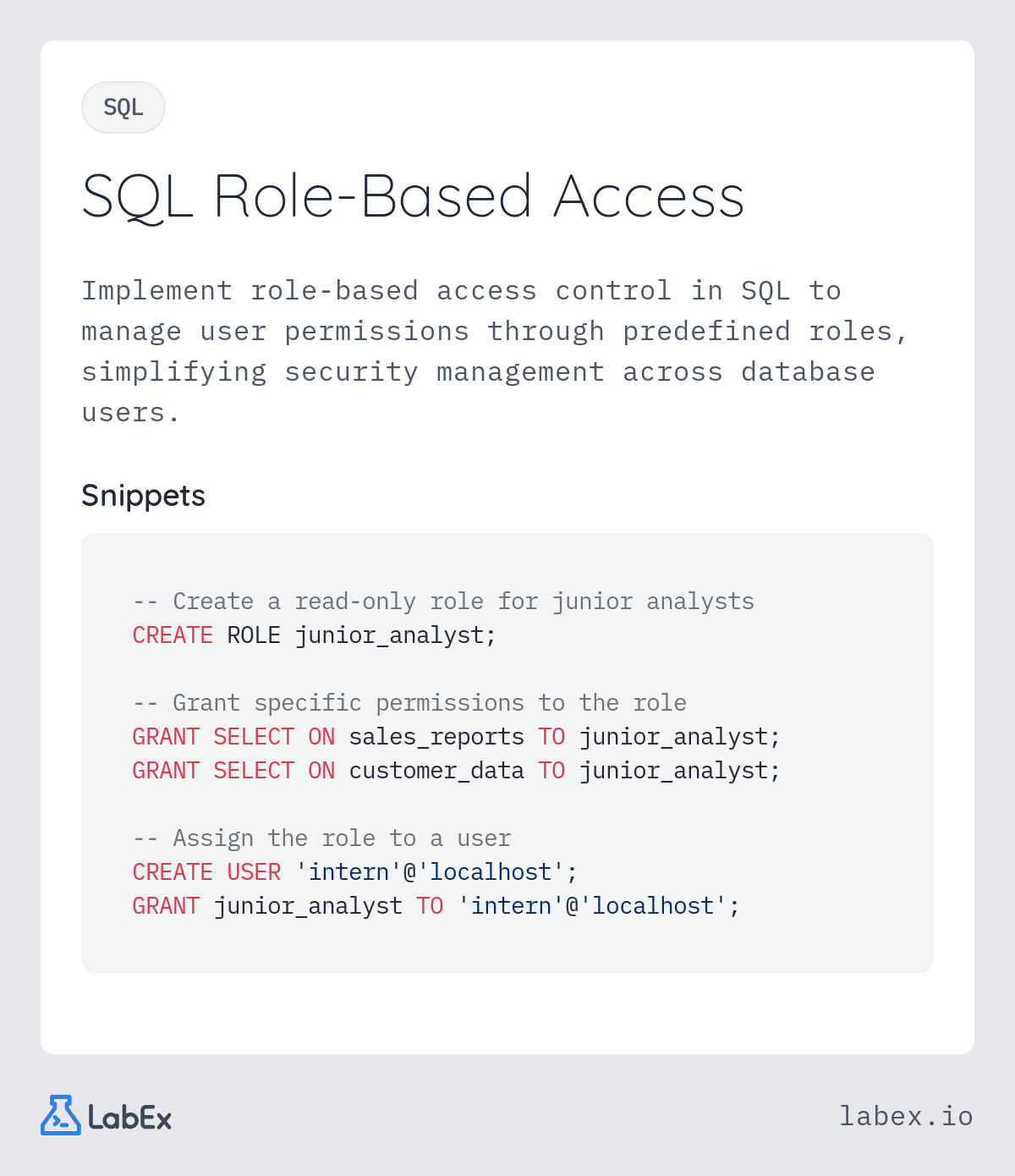 SQL Role-Based Access programming concept visualization