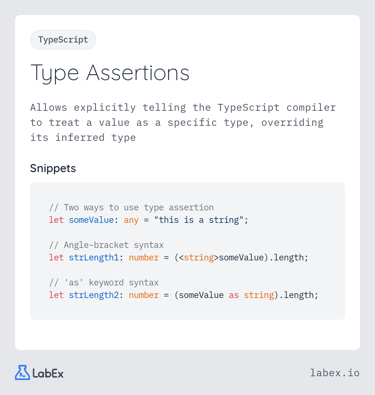 Type Assertions programming concept visualization