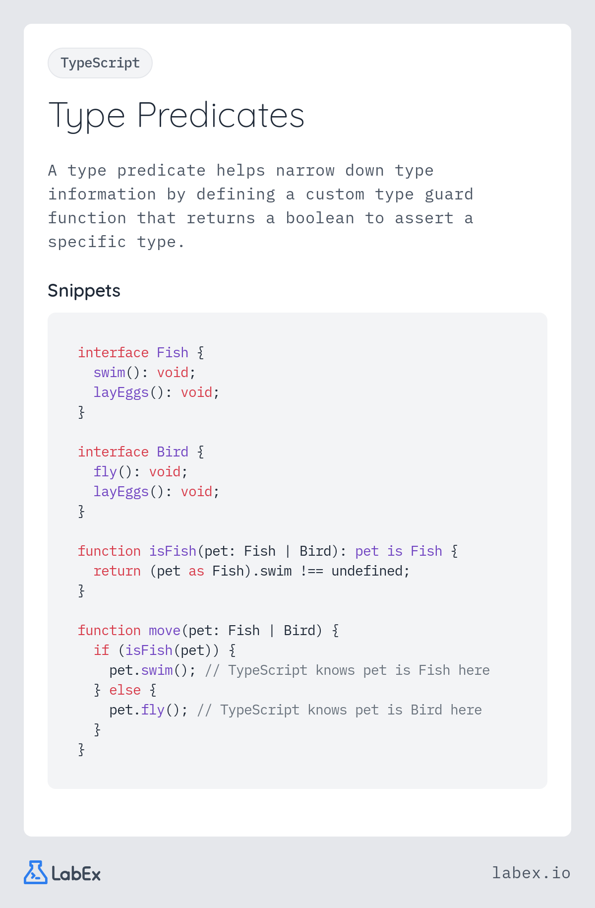 Type Predicates programming concept visualization